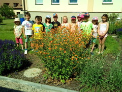 IMG_20210618_102716