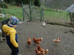 IMG_20220427_100056