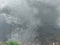 20220614_092135