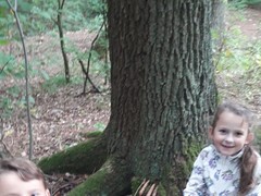 IMG-20190916-WA0008