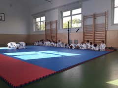 judo