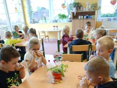IMG_20221020_091825_1