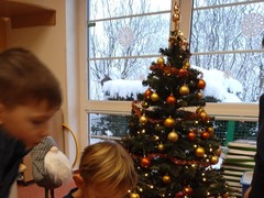 IMG_20221212_085458