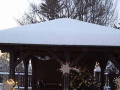 IMG_20221213_161201
