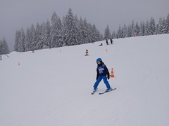 IMG_20230202_095634_1