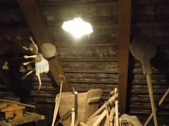 IMG_20230323_100708