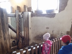 IMG_20230323_114637