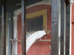 IMG_20230323_115118_1