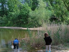 Sluníčka ve Střevlíku - Vodní breberky