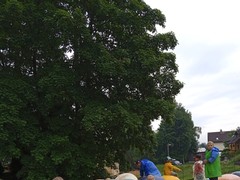 IMG_20230607_130833