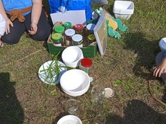 IMG_20230616_094830_1