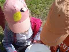 IMG_20230616_095356