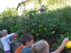 IMG_20230920_105641_1
