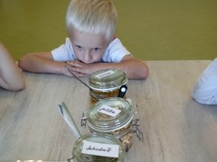 IMG_20230920_113116_1