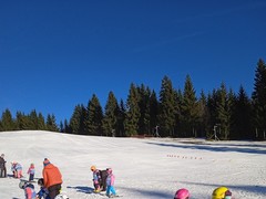 IMG_20240129_094906_1