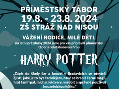 leto-ve-strazi-2024-poster.png