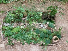 IMG_0658