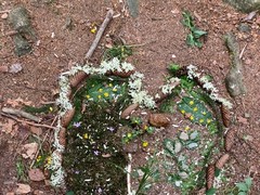 IMG_0650