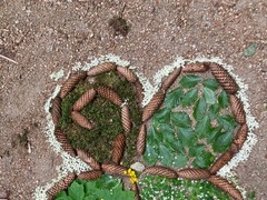 IMG_0647