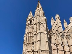 IMG_0844
