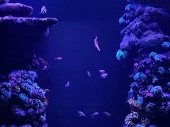 IMG_0861