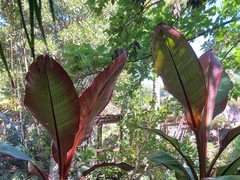 IMG_0884