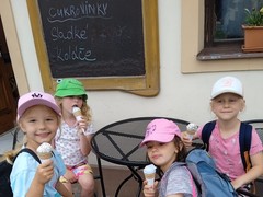 IMG_20240619_095218_1