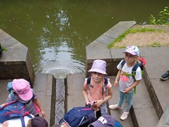IMG_20240619_105228