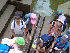 IMG_20240619_105232_1