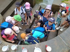 IMG_20240619_105236_1