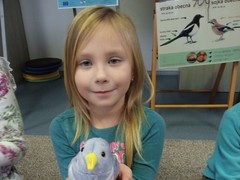 IMG_20241112_100624_1