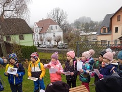 IMG_20241112_105537
