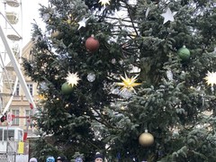 IMG_5133