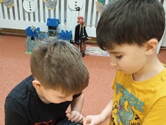 IMG_20250129_094209