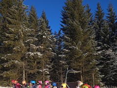 IMG_20250203_085704_1