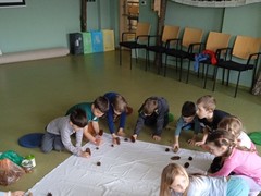 IMG_20250312_110148_1