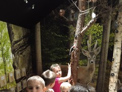 IMG_20250312_115044