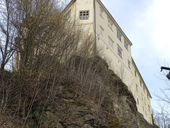 IMG_20250312_131143_1