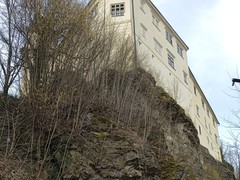 IMG_20250312_131201_1