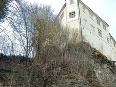 IMG_20250312_131212_1