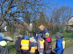 IMG_20250328_101121