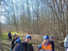 IMG_20250328_102133_1