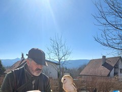 Březen ve ŠD