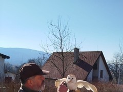 IMG-20250331-WA0013 - kopie