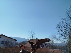 IMG-20250331-WA0010