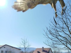 IMG-20250331-WA0005 - kopie