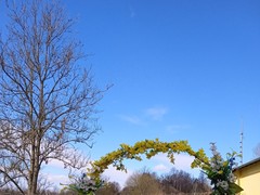 IMG_20250408_101733