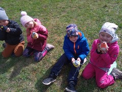 IMG_20250408_105612_1