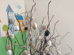 IMG_20250402_114426
