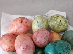 IMG_20250414_101931